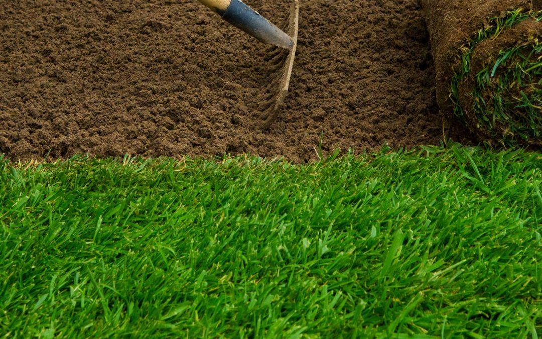 Planting sod for your lawn.