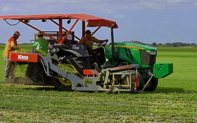 A little history about S&K sod.