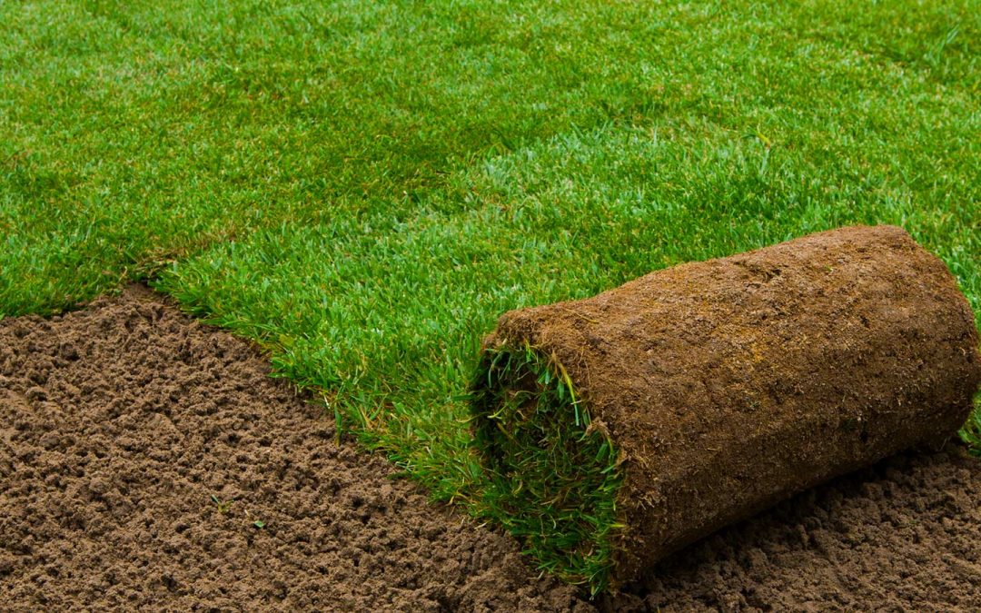 What is the size of a piece of sod?