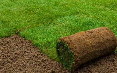 What is the size of a piece of sod?