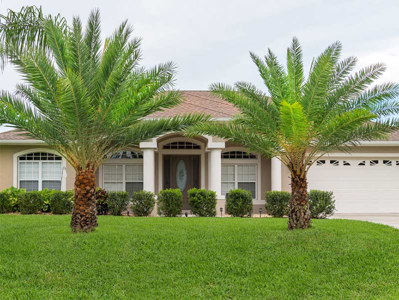 When is the best time to irrigate your Florida lawn?