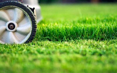 What you need to know before mowing your brand new sod.