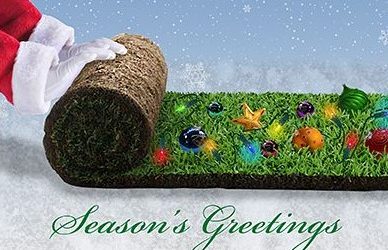 Merry Christmas and Happy Holidays 2022