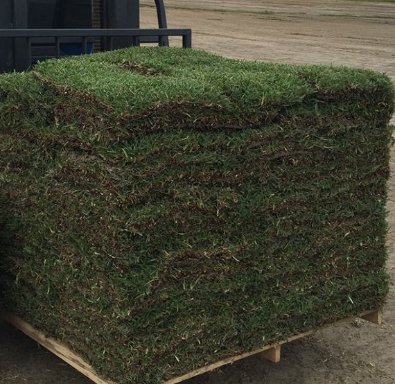 How large is a S&K sod pallet?